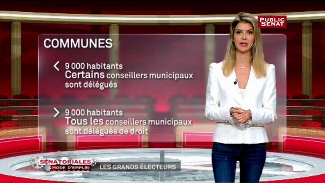 Sénatoriales, mode d'emploi - Les grands électeurs