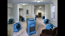 Water Damage Boca Raton Service | Company for Home Removal & Repair