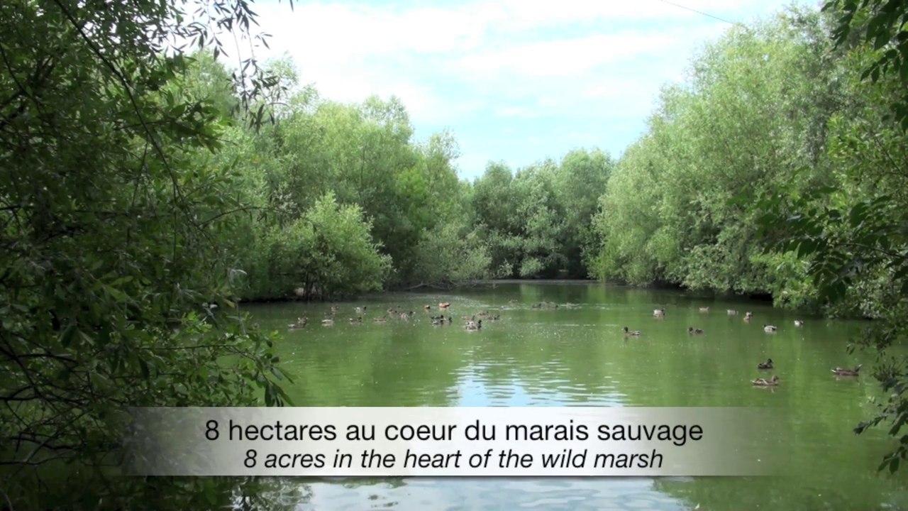 Les oiseaux du Marais Poitevin