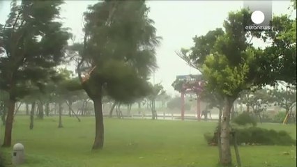 Japonya Süper Tayfun Neoguri'ye karşı seferber oldu