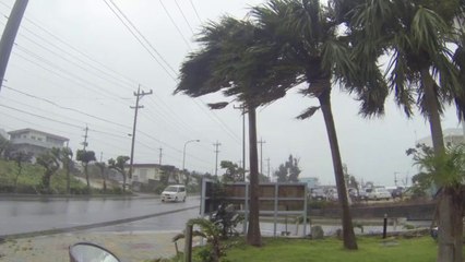 Japão em alerta máximo por passagem de tufão