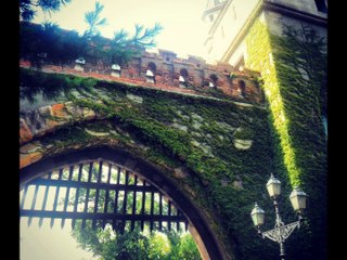 Fotografias por Europa