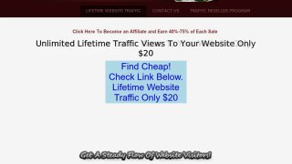 Discount on Lifetime Website Traffic Only $20