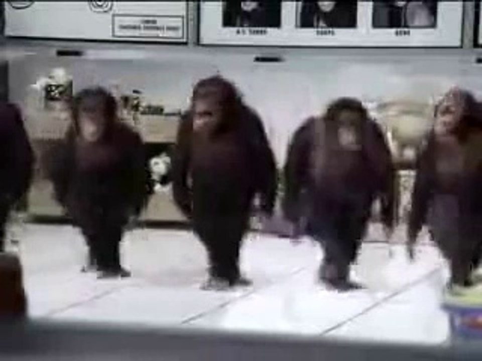 Irish dancing monkeys [test video]