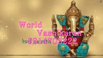  91-9914703222  world-famous-astrologer-call to in California