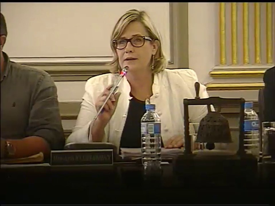 Conseil Municipal du 7 juillet 2014 partie 1