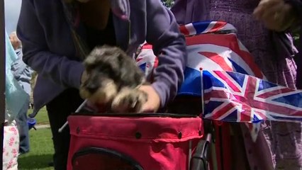Prince Charles visits Glastonbury Abbey