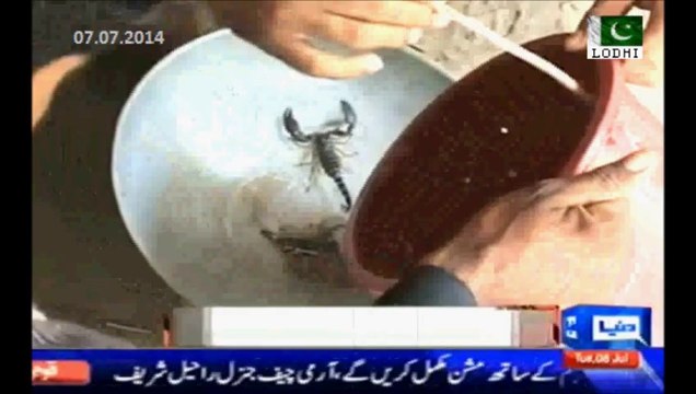 Sindh Govt bans Black scorpion business in Tharparkar Sindh - Rs 20 Lac scorpion is being sold in Rs. 50,000