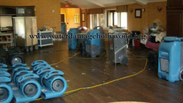 Water Damage Hollywood, FL Service | Company for Home Removal & Repair