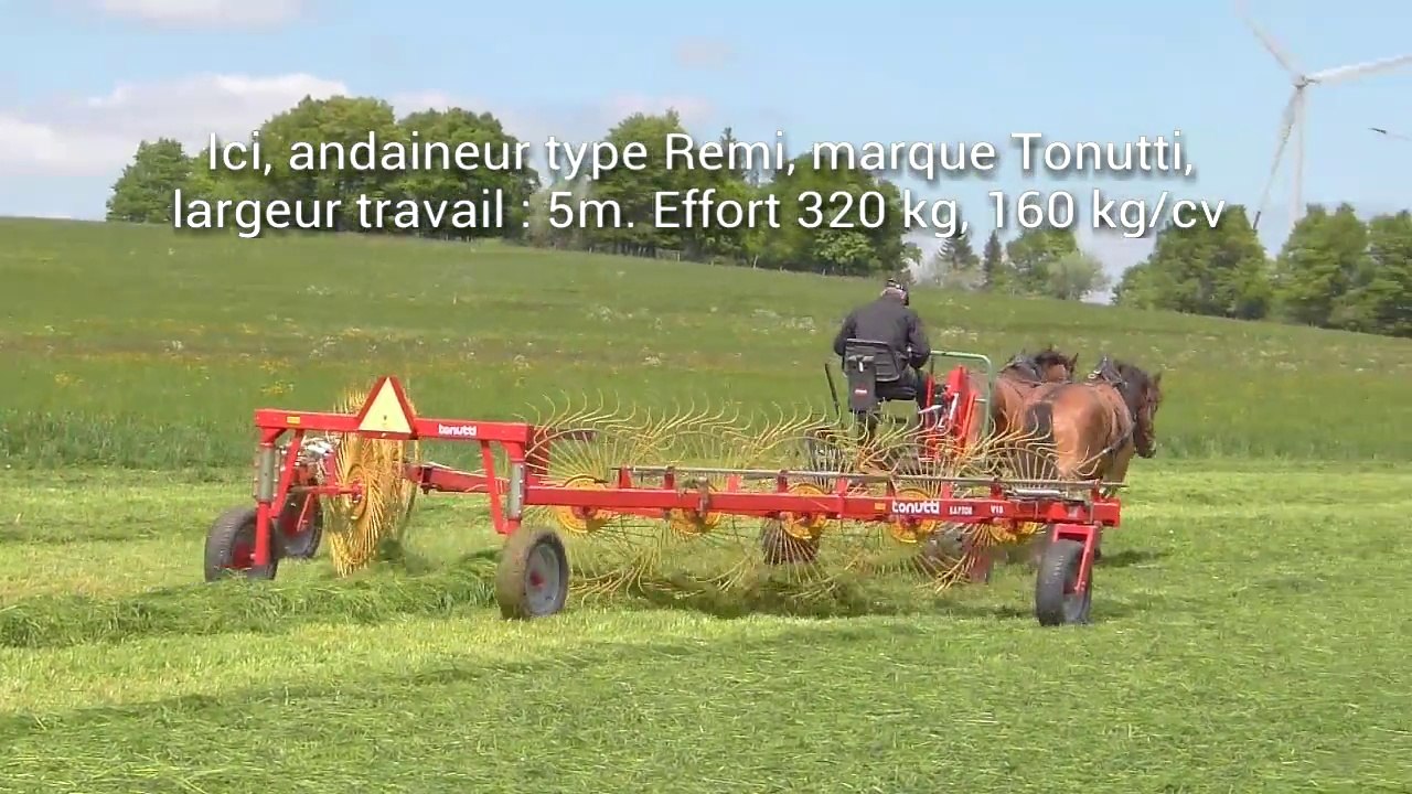 Faneuses et endaineur à la journée-démonstration de faucheuses à traction animale, au Mont Crozin, Suisse, 31 mai 2014 (Hippotese)