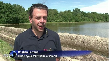 Italie: le riz, une tradition dans la région de Vercelli