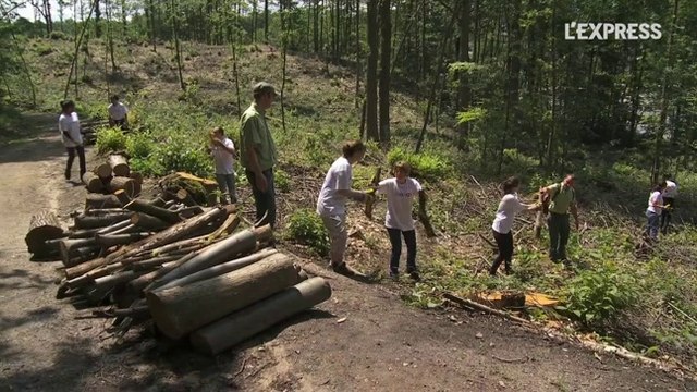 business et sens: Les salariés se mobilisent pour l'intérêt général