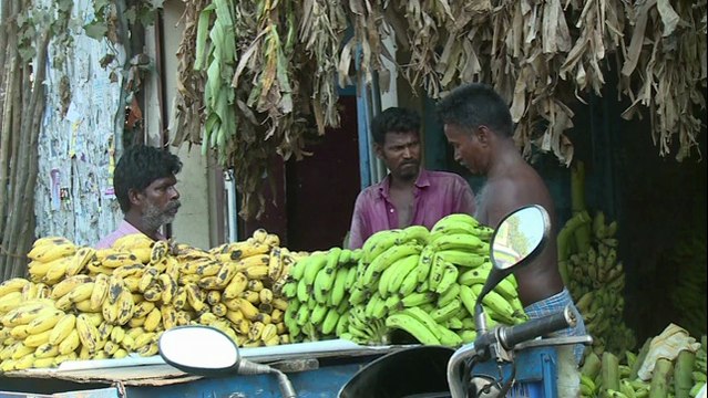 Inde: des médecins indiens diplômés reviennent s'installer dans leur pays