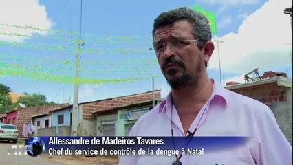 La dengue pourrait s'inviter à la Coupe du Monde