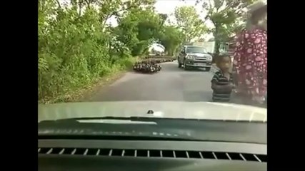 Thaïlande: une invasion de canards bloque une route