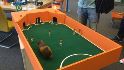 Sikko voorspelt: Winst voor Duitsland - RTV Noord