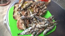 TV3 - Els matins - Sardines a la platja del Far de Vilanova i la Geltrú