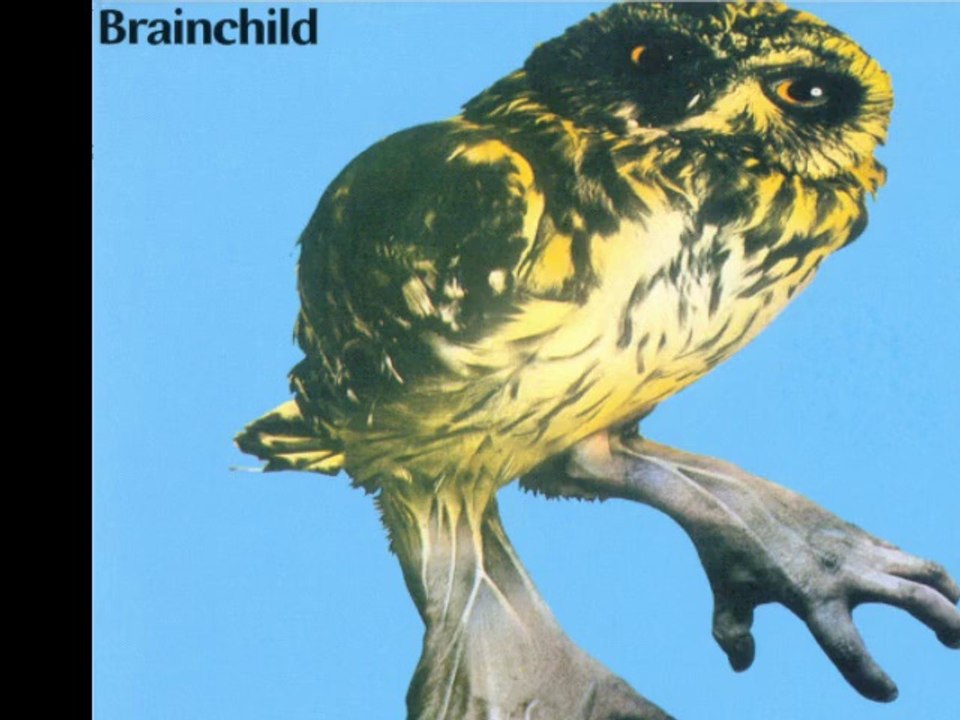 Brainchild "Hiding From The Dawn"1970 UK Prog Rock Jazz Fusion