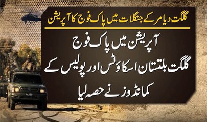 Dunya News - Gunship helicopters bombard militant hideouts in Diamir