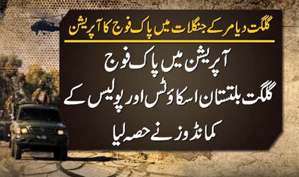 Dunya News - Gunship helicopters bombard militant hideouts in Diamir