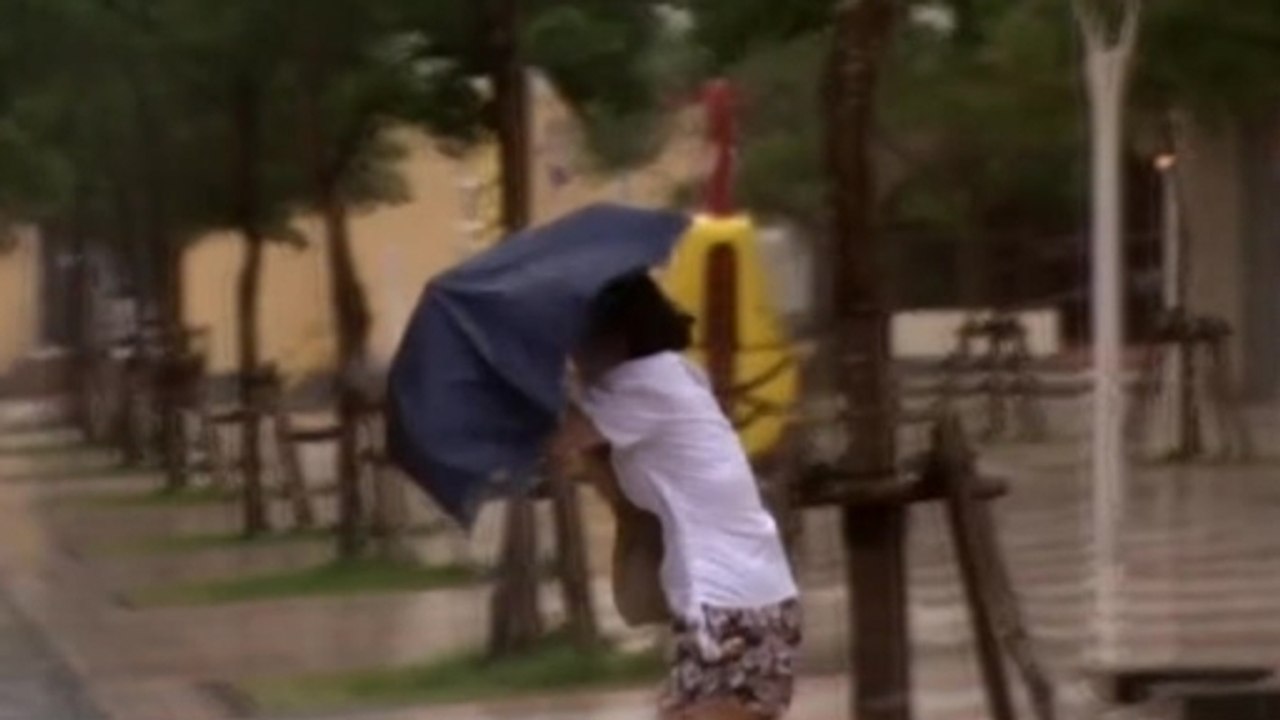 Typhoon topples structures, snaps trees as it batters Okinawa