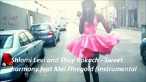 Shlomi Levi and Shay Rokach - Sweet Harmony feat Mei Feingold (Instrumental Edit)