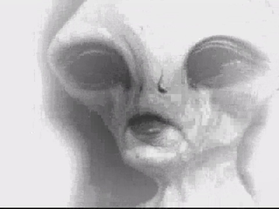 alien document 1962
