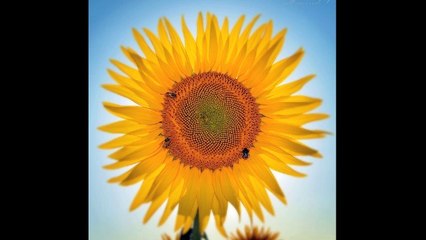 Beautiful Thank - Eri Saito