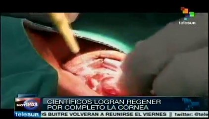 Logran regenerar la córnea humana a partir de células madre