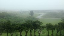 Social video captures Typhoon Neoguri lashing Japan's Okinawa