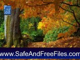 Get Autumn Tree - Animated Screensaver 5.07 Activation Code Free Download