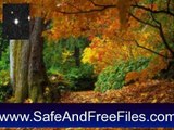 Get Autumn Tree - Animated Screensaver 5.07 Activation Key Free Download