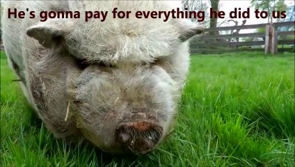 FARMER JOHN BUSTED - Animals VS Oversexed Farmer_ REVENGE! - الحيوانات الجنس