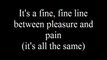 The Divinyls Pleasure and Pain with Lyrics