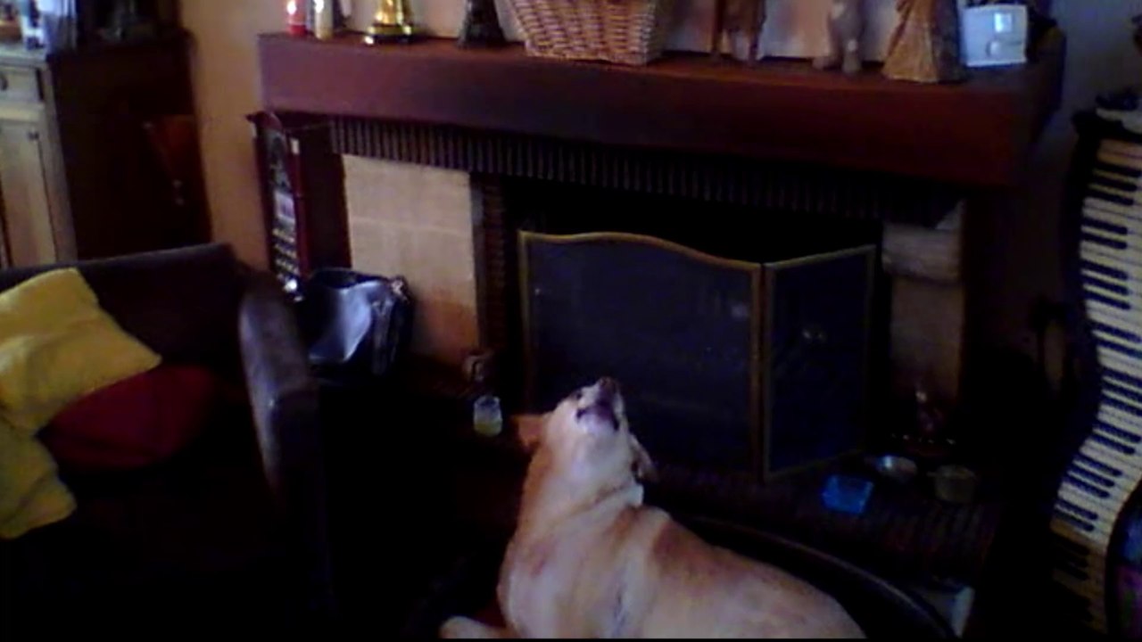 Nalah, une Diva à poil(s) !