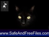 Get Black Cats Screensaver 1 Serial Code Free Download