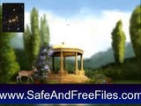 Get Black Swan Lake Animated ScreenSaver 5.07 Serial Key Free Download