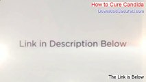 How to Cure Candida PDF Free - how to cure candida infection