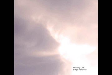 Missing Link - Melanie