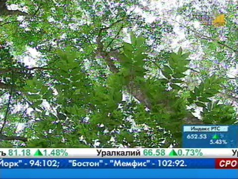 Малайзия - Отдых и туризм