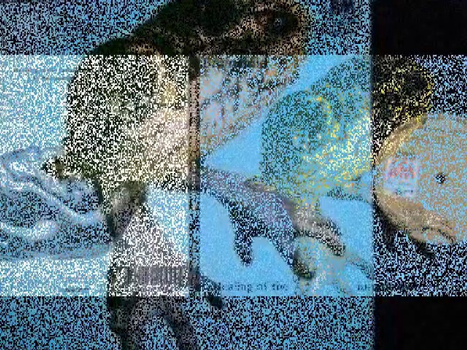 Brainchild "To ''B''1970 UK Prog Rock Jazz Fusion