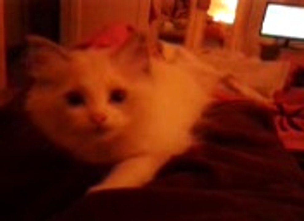 20140708_224231joufflue