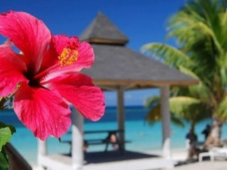 TUBE◆　Photo&Movie　「夏に首ったけ」