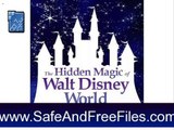 Get Disney's Magic Kingdom Skin 1.0 Activation Code Free Download