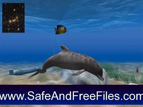 Get Dolphin Aqua Life 3D Screensaver 3.1 Serial Key Free Download