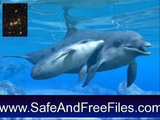 Get Dolphins Underwater Animated Screensaver 6 Serial Key Free Download
