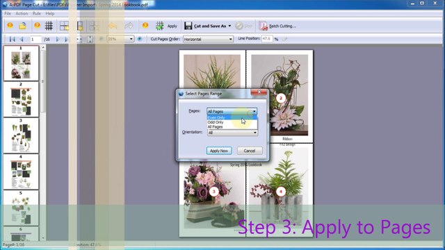 A-PDF Page Cut - cut pages from it for reusing specific pages from the PDF file