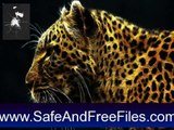Get Fantastic Felines Screensaver 1.0 Serial Code Free Download