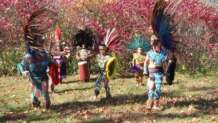 LIVE SHOW. DEMO. Marian Morgunova (Camera operator/videographer).