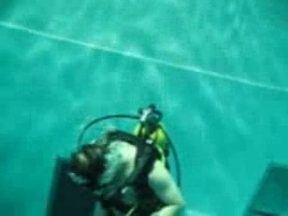 nemo 33